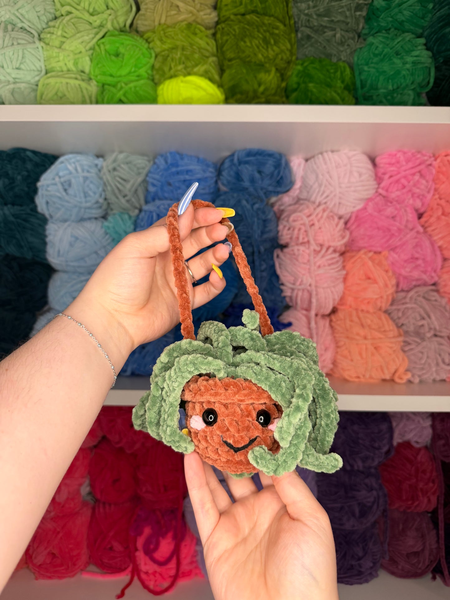 Crochet Plant Car Hanger