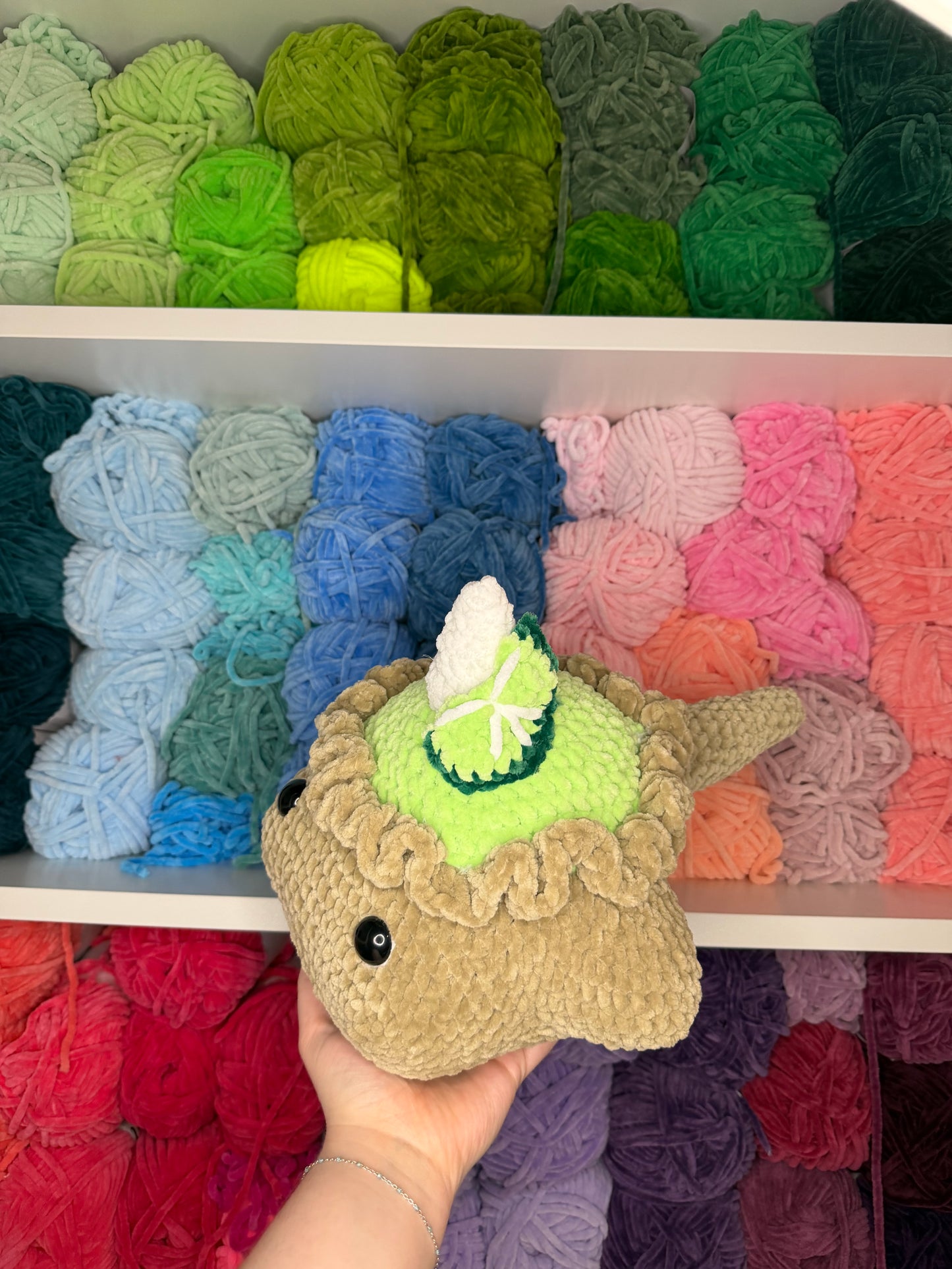 Crochet Key Lime Pie Stingray