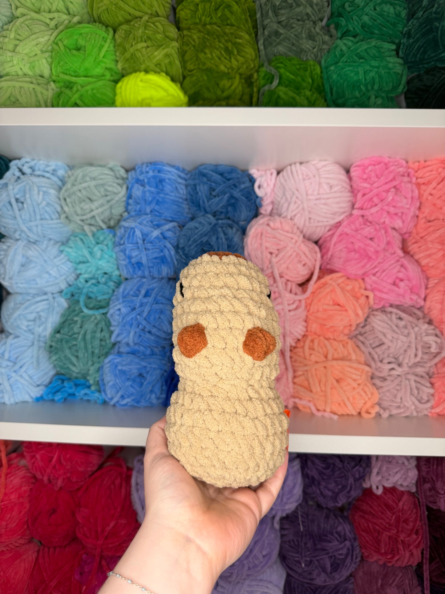 Crochet Capybara
