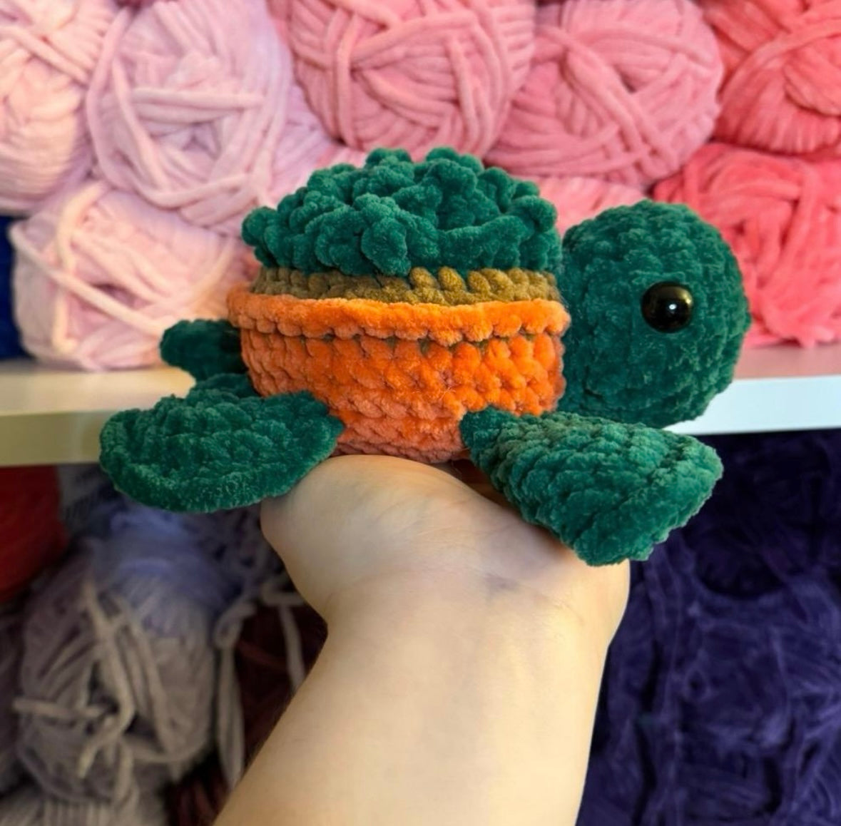 Crochet Succulent Turtle