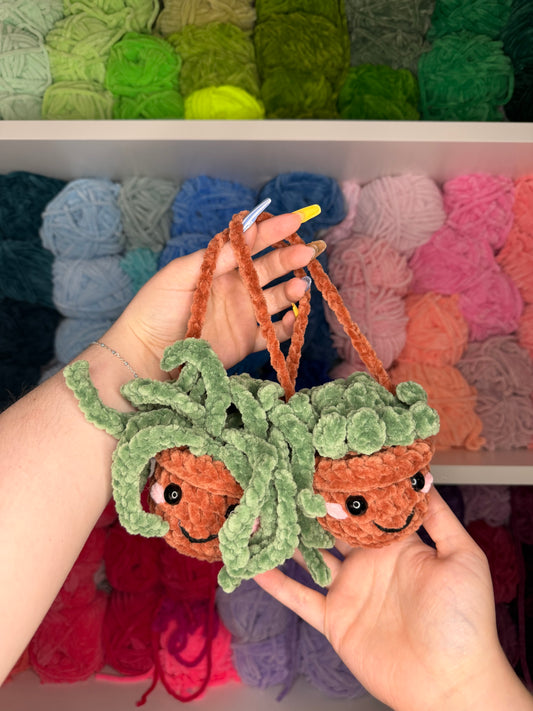 Crochet Plant Car Hanger