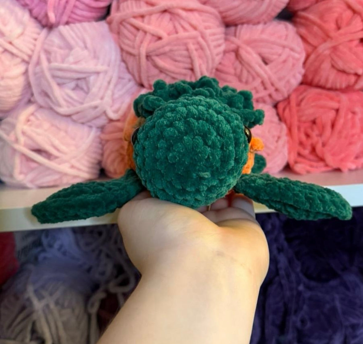 Crochet Succulent Turtle