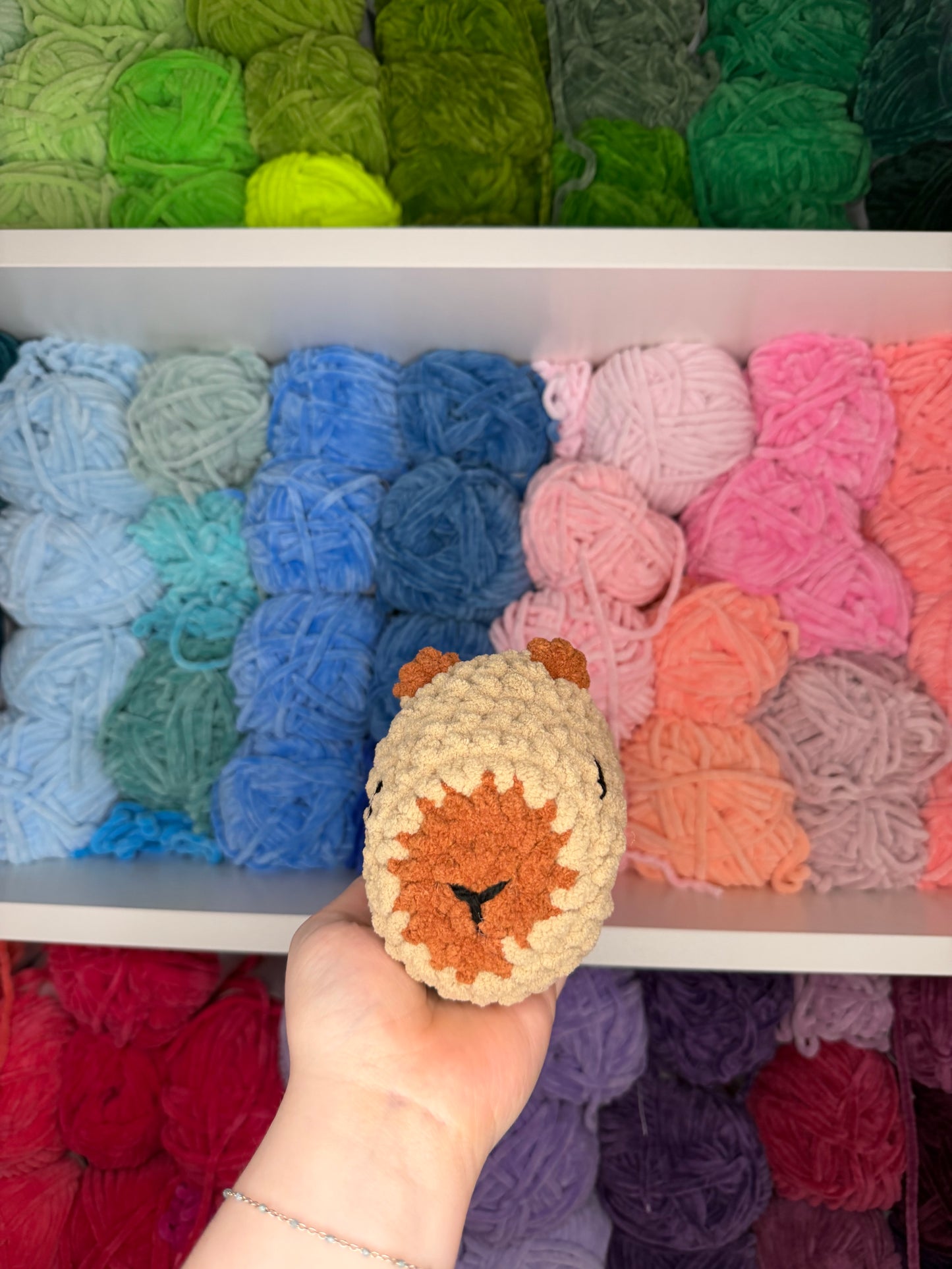 Crochet Capybara