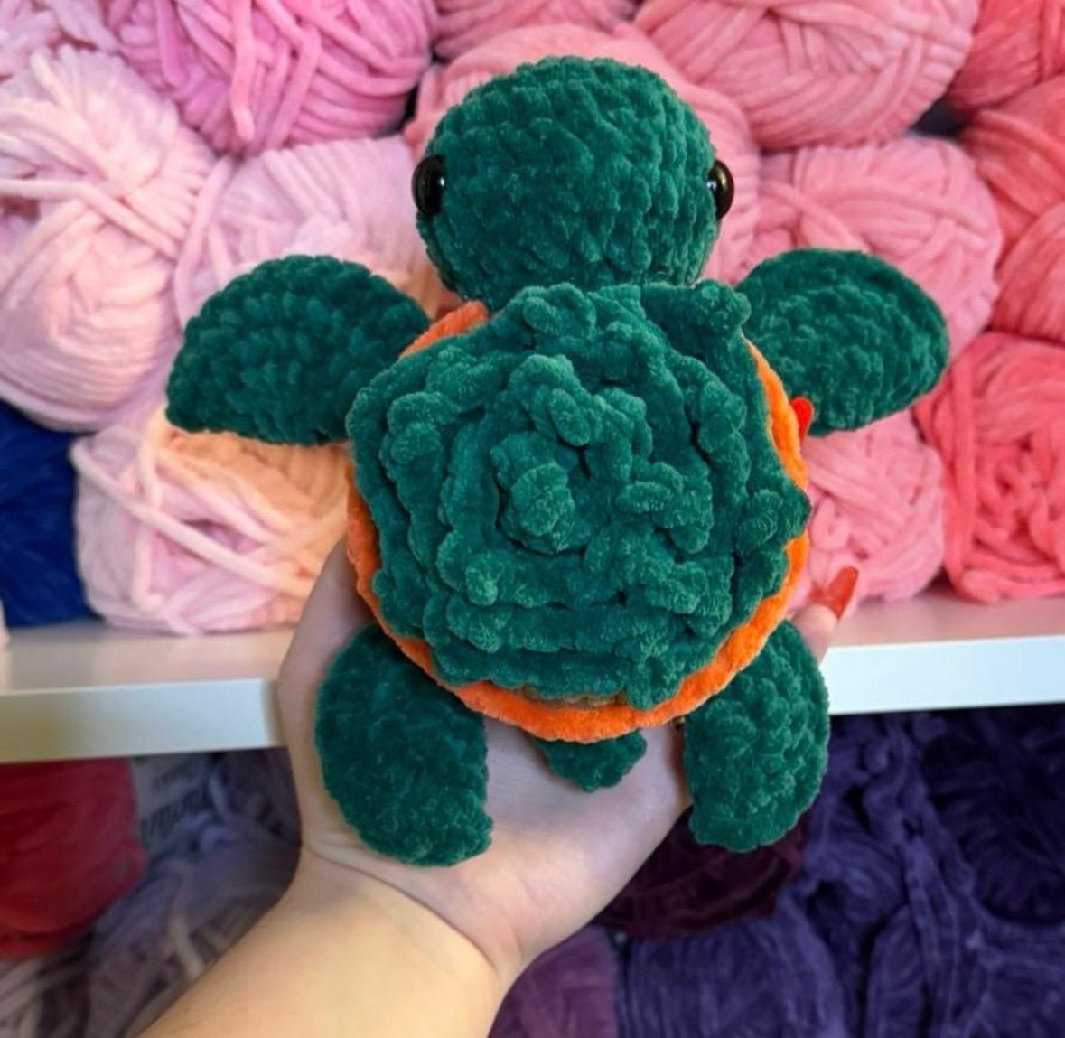 Crochet Succulent Turtle