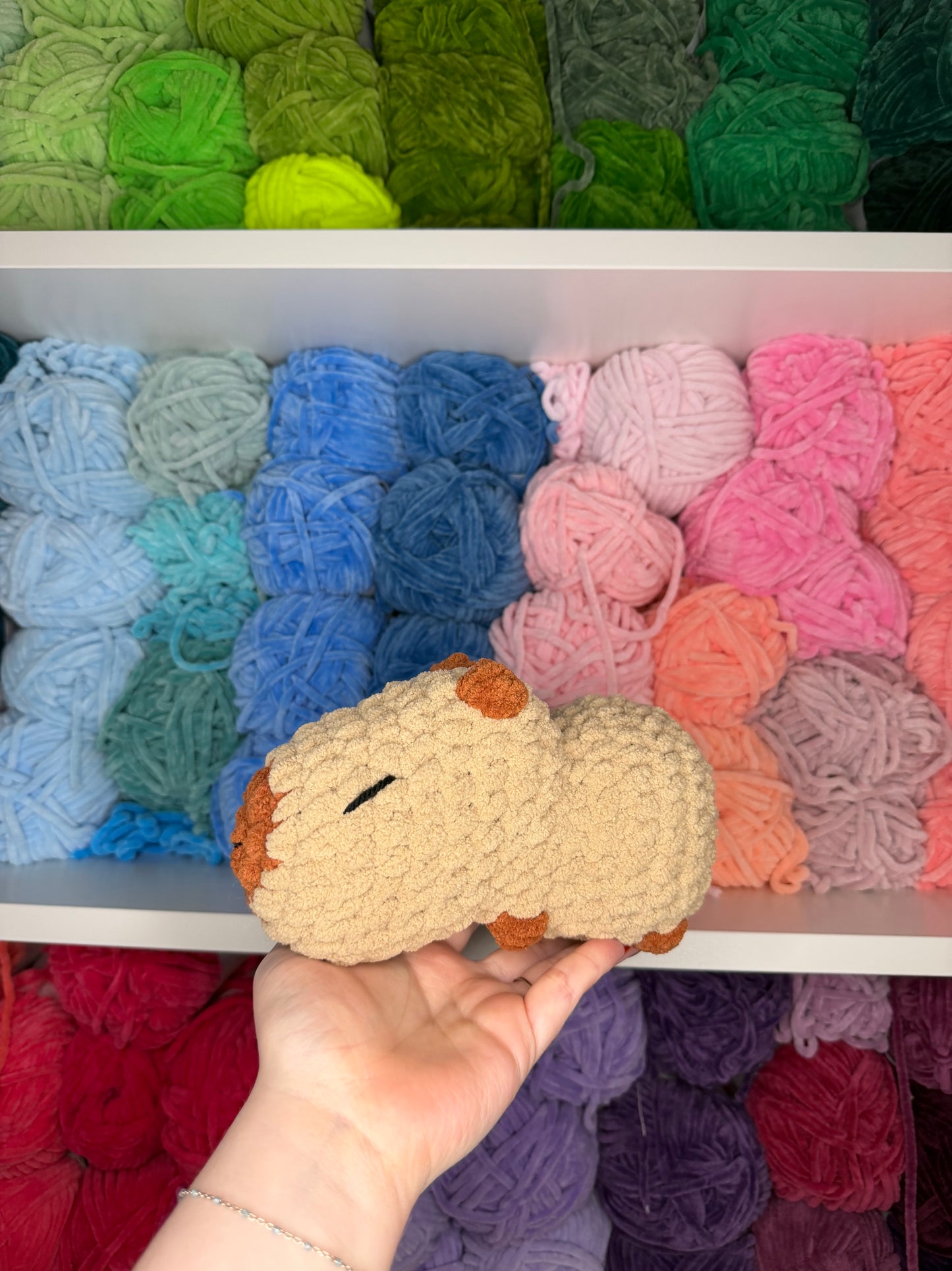 Crochet Capybara