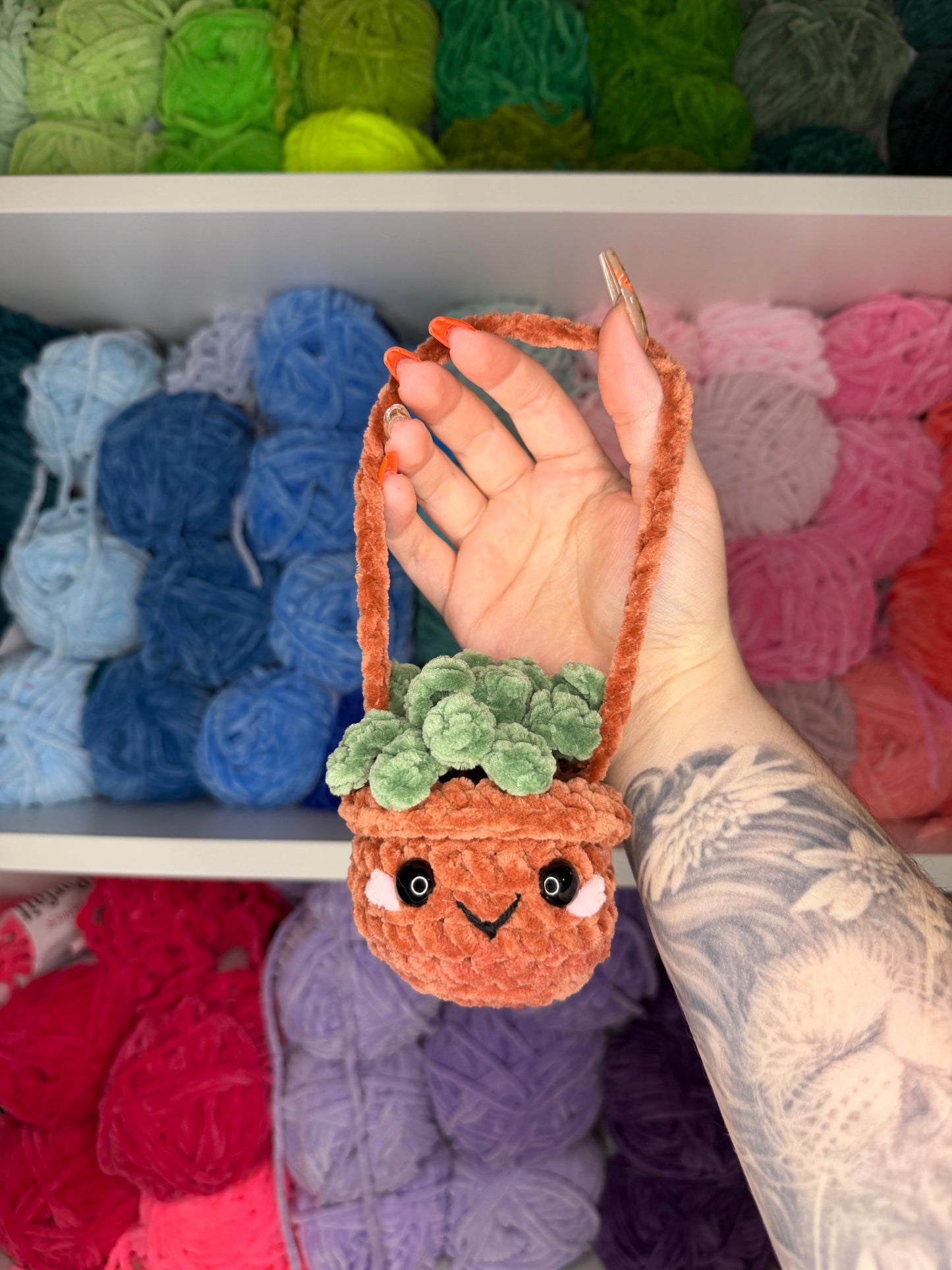 Crochet Plant Car Hanger