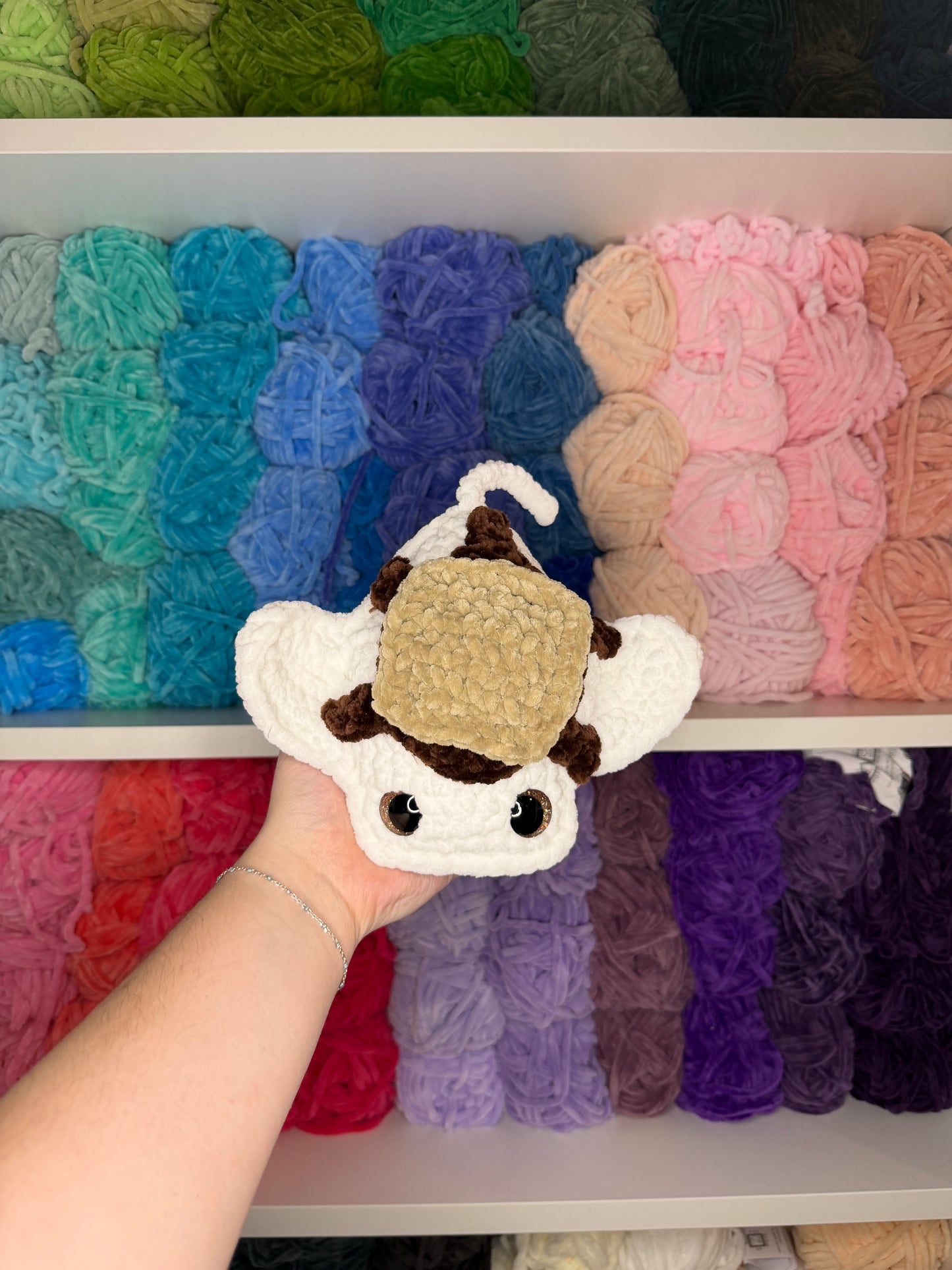 Crochet S’more Stingray / Regular Stingray