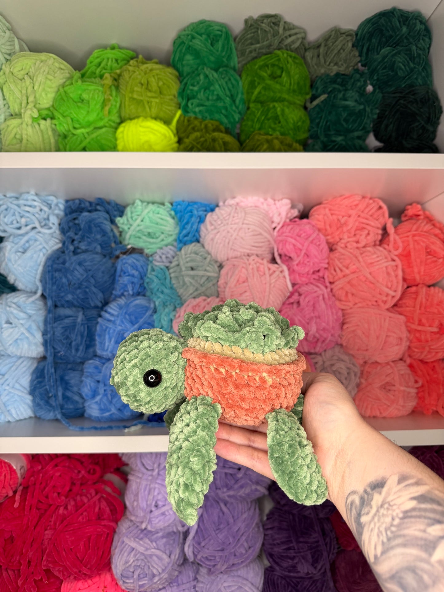 Crochet Succulent Turtle