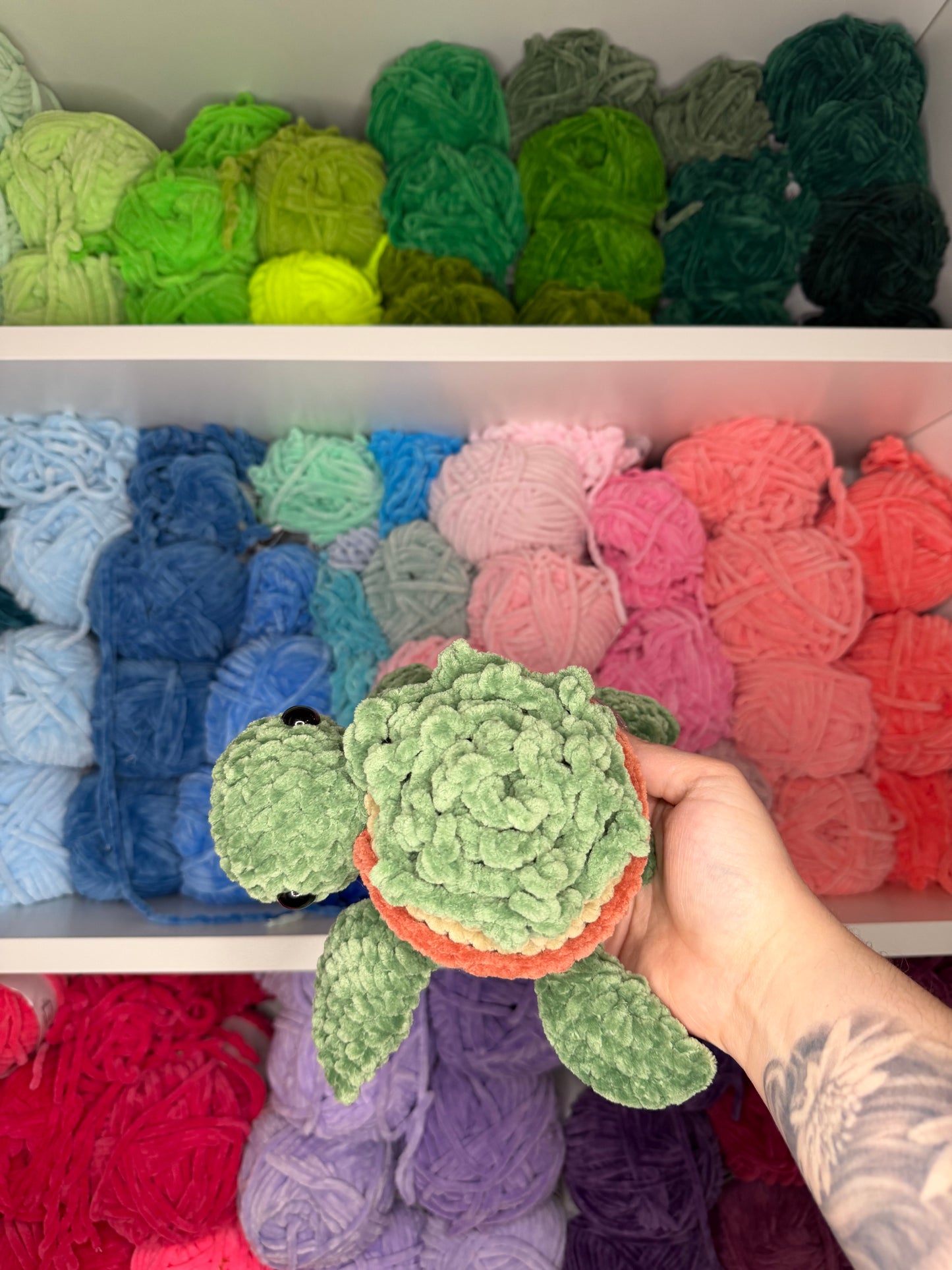 Crochet Succulent Turtle