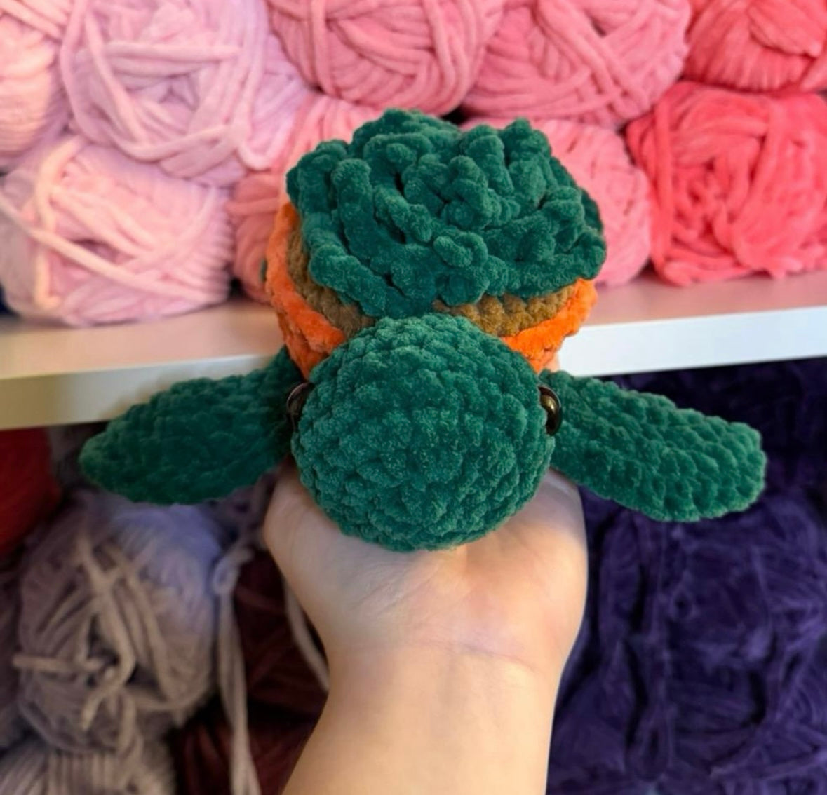 Crochet Succulent Turtle