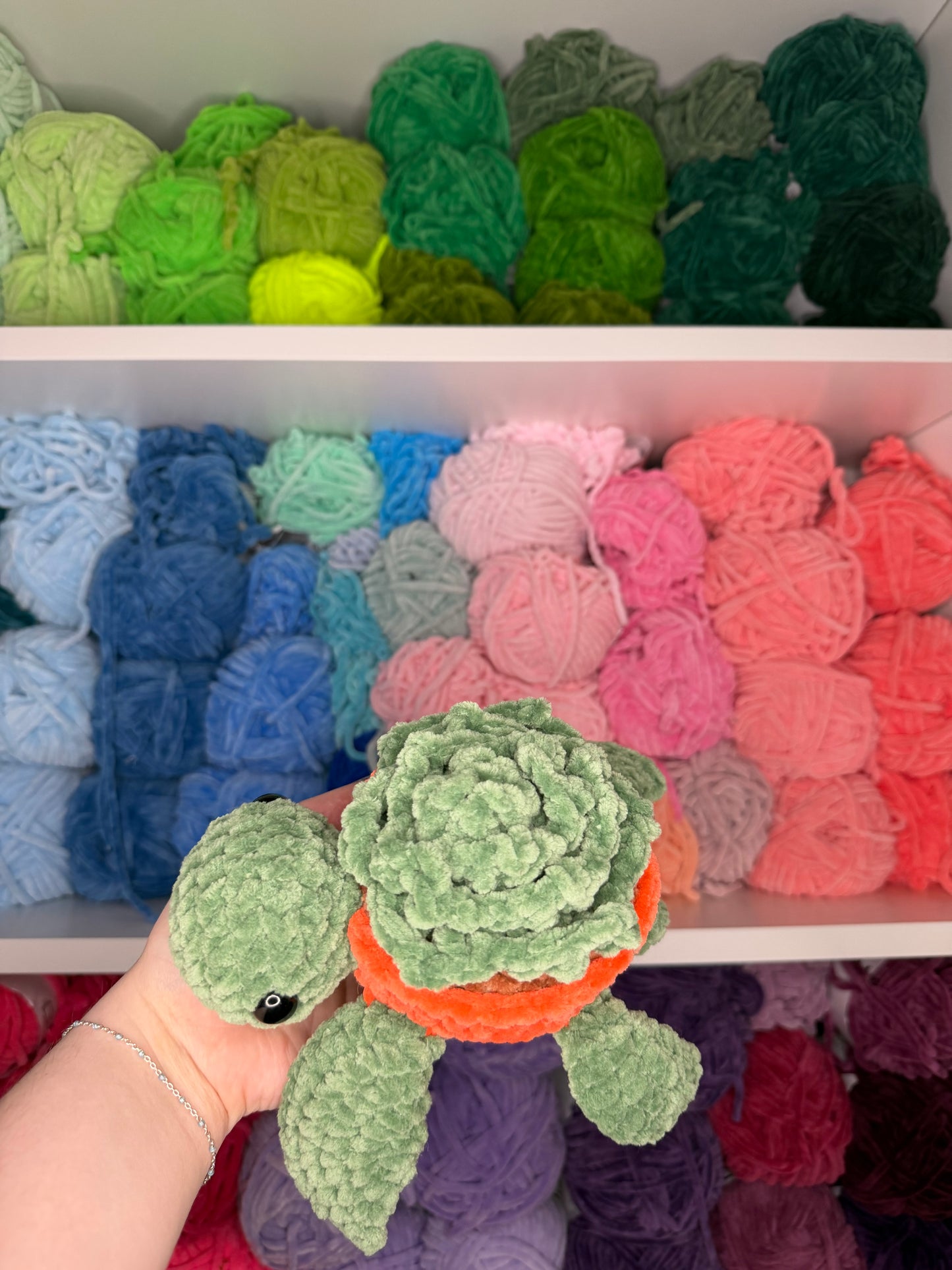 Crochet Succulent Turtle