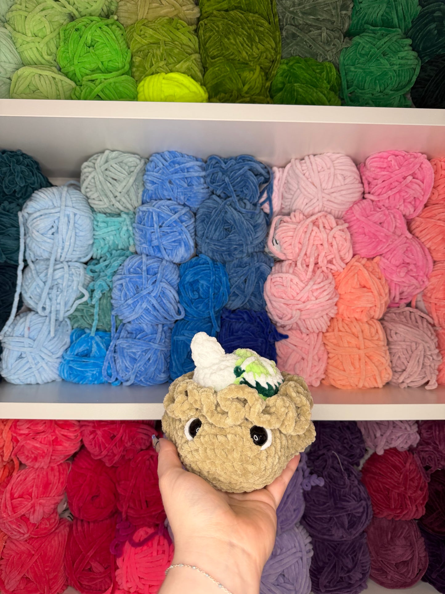 Crochet Key Lime Pie Stingray