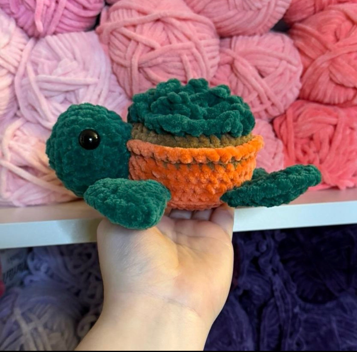 Crochet Succulent Turtle