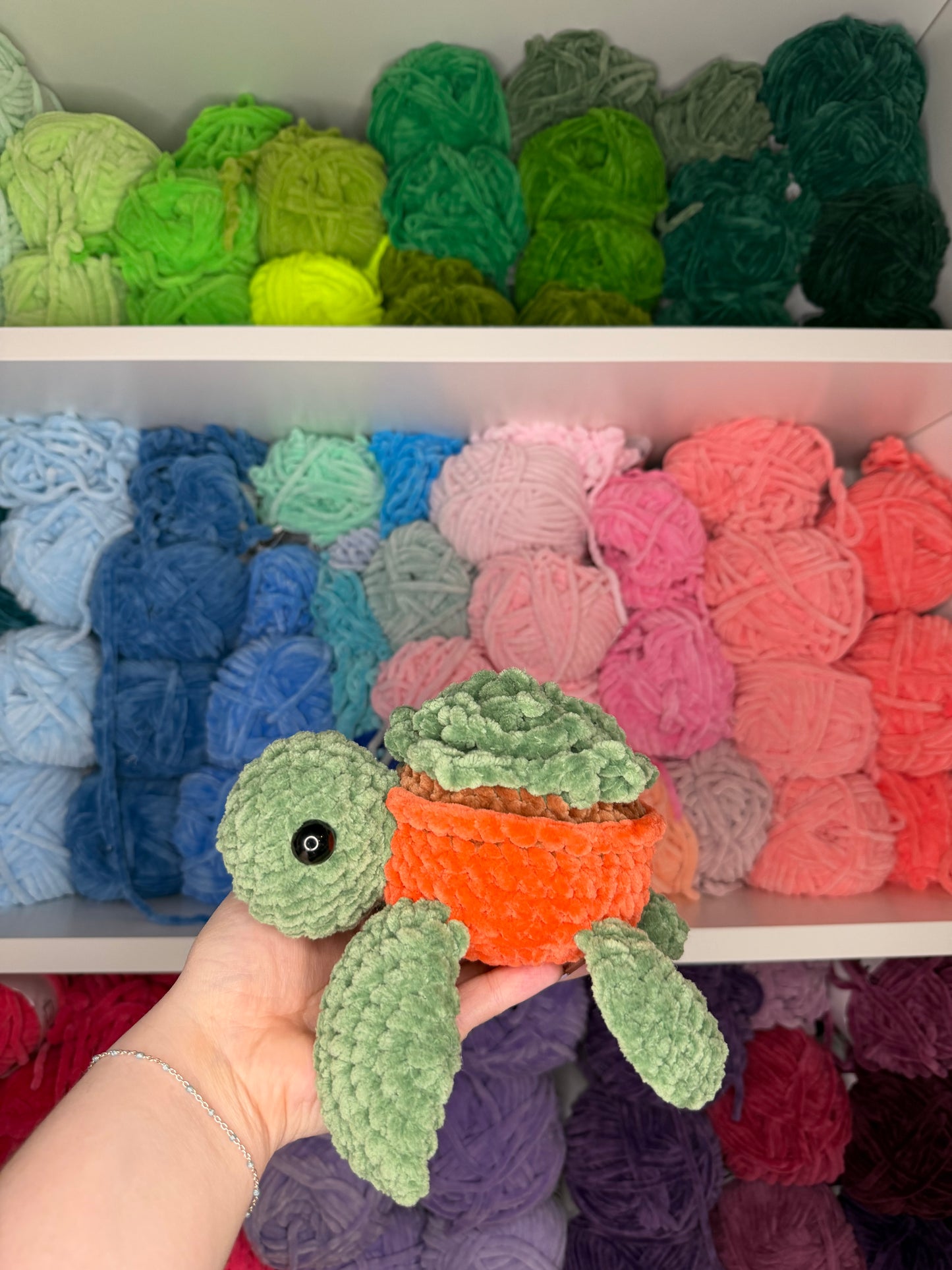 Crochet Succulent Turtle