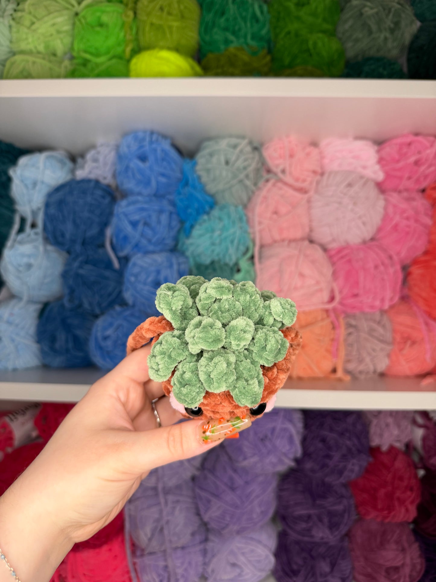 Crochet Plant Car Hanger